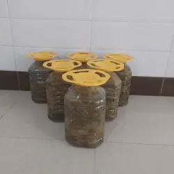 شور برگ در ظروف پت 5 کیلویی - بازار عمده فروشی آرمان