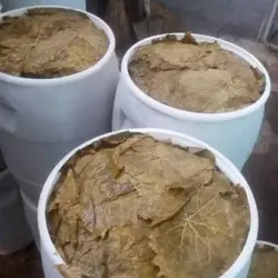 شور برگ فله مخصوص بسته بندی کارخانه ای - بازار عمده فروشی آرمان