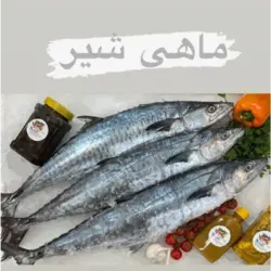 ماهی شیر دم سیاه درجه یک جنوب کیلویی - بازار عمده فروشی آرمان