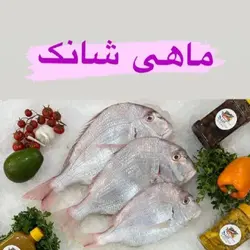 ماهی شانک درجه یک جنوب کیلویی - بازار عمده فروشی آرمان