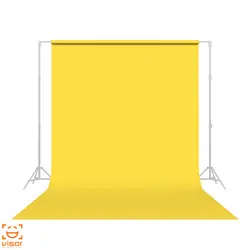 فون کاغذی قناری Savage Canary 38