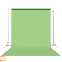 فون کاغذی سبز نعنایی Savage Seamless Paper Mint Green 40