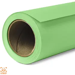 فون کاغذی سبز نعنایی Savage Seamless Paper Mint Green 40