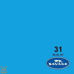 فون کاغذی آبی شاد Savage Blue Jay 31