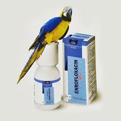 محلول خوراکی انروفلوکساسین (50 میلی لیتری)