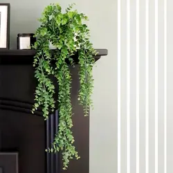 آویز اکالیپتوس