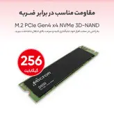 اس اس دی اینترنال میکرون مدل Micron 2450 256GB M.2 PCIe Gen4 x4 NVMe 3D-NAND ظرفیت 256 گیگابایت