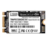 اس اس دی اینترنال تیم گروپ مدل TMPS7256G0C101 ظرفیت 256 گیگابایت