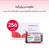 اس اس دی اینترنال گودگا مدل M.SATA ظرفیت 256 گیگابایت