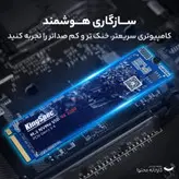 اس اس دی اینترنال کینگ اسپک مدل M.2 NVMe NE2280 ظرفیت 256 گیگابایت