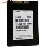 حافظه SSD اینترنال دی جی ام مدل SS900 ظرفیت 256 گیگابایت