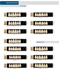 ست دندان مصنوعی BetaStar - بتادنت