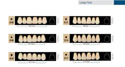 ست دندان مصنوعی BetaStar - بتادنت