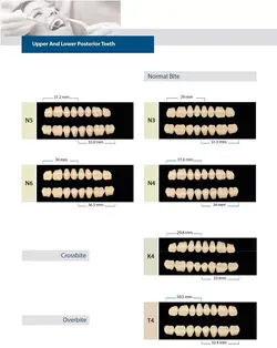 ست دندان مصنوعی BetaStar - بتادنت