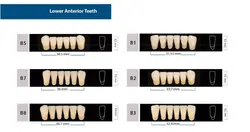 ست دندان مصنوعی Isosid Tak - بتادنت