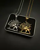 پلاک شیر خورشید با زنجیر طنابی