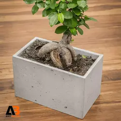 گلدان بتن اکسپوز 30-25-30