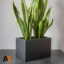 گلدان بتن اکسپوز 30-25-30