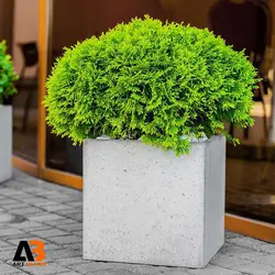 گلدان بتن اکسپوز 40-40-40