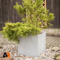 گلدان بتن اکسپوز 40-40-40