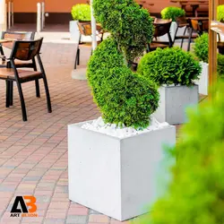 گلدان بتن اکسپوز 50-50-50