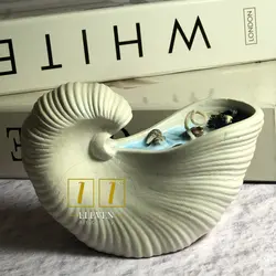 شات صدف حلزونی