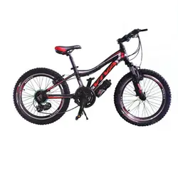 دوچرخه کوهستان ویوا مدل اسپینر سایز 24