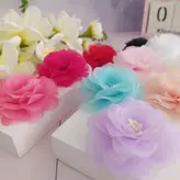 گل حریر پرچمدار