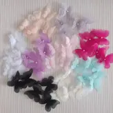 پروانه حریر