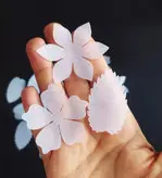 گلبرگ دولایه حریر