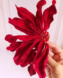 گل‌سینه مخمل کریشه