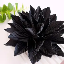 گل ساتن کریشه