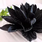 گل ساتن کریشه