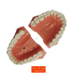 مولاژ تمرینی و آموزشی بالثه سخت