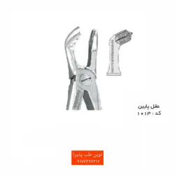 فورسپس بزرگ سال فتاح طب - فروشگاه اینترنتی مواد و تجهیزات دندانپزشکی نوین طب پذیرا