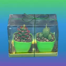 شمع کاکتوس دکوری تزیینی 2 عددی 33101 - هانیکده