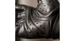 دستکش بدنسازی چمپکس (Champex) مچبند دار سایز l (لارج)