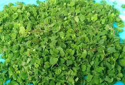 سبزی ترش واش سرخ شده محلی بسته یک کیلوگرمی