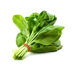 اسفناج پاک شده تازه بسته  یک کیلوگرمی
