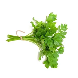 گشنیز پاک شده تازه بسته  یک کیلوگرمی