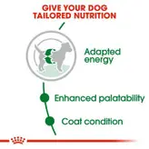 غذای خشک سگ نژاد کوچک رویال کنین