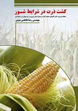 کشت ذرت در شرایط شور