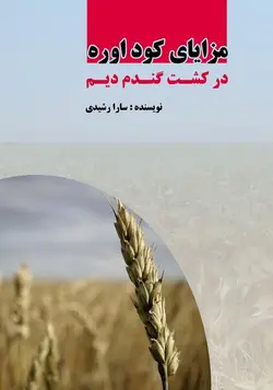 مزایای کود اوره در کشت گندم دیم