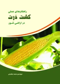راهکارهای عملی کشت ذرت علوفه ای در اراضی شور