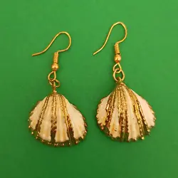 گوشواره زنانه مدل صدف