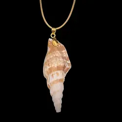 گردنبند زنانه مدل صدف کد AB79