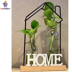 گلدان تراریوم دیواری