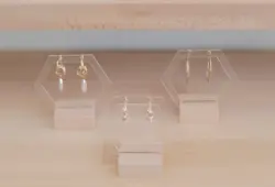 استند گوشواره دلوینا