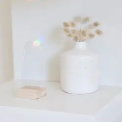 استند گوشواره بهار