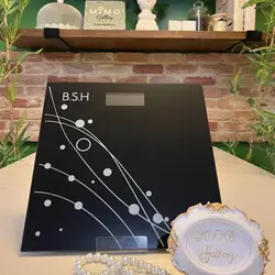 ترازو وزن کشی دقیق برند BSH